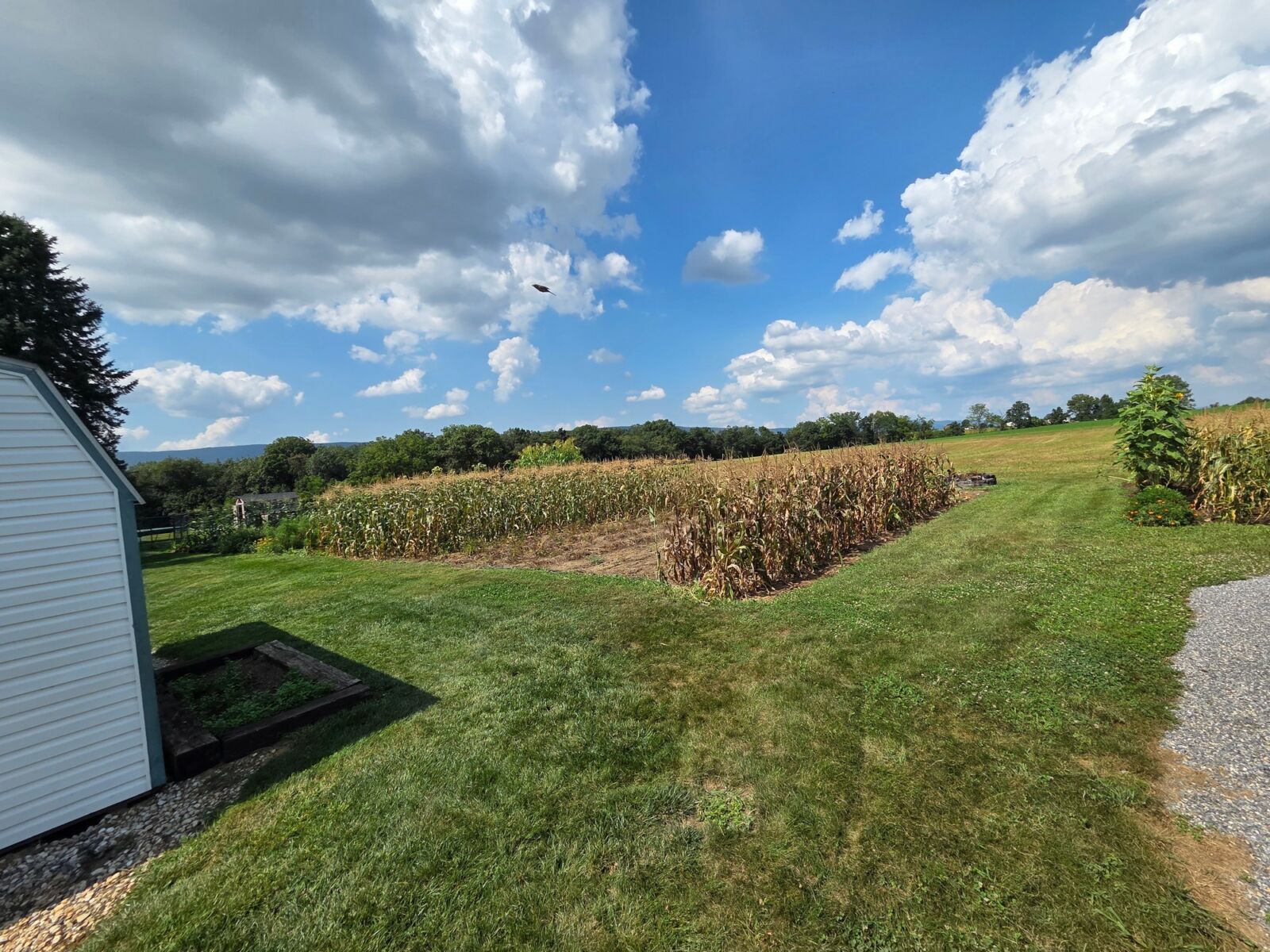 SOLD $532,000 / ABSOLUTE REAL ESTATE AUCTION - 13 ACRES! - NEWBURG, PA / THURS. OCTOBER 30, 2025 @ 5:30 PM - Image 65