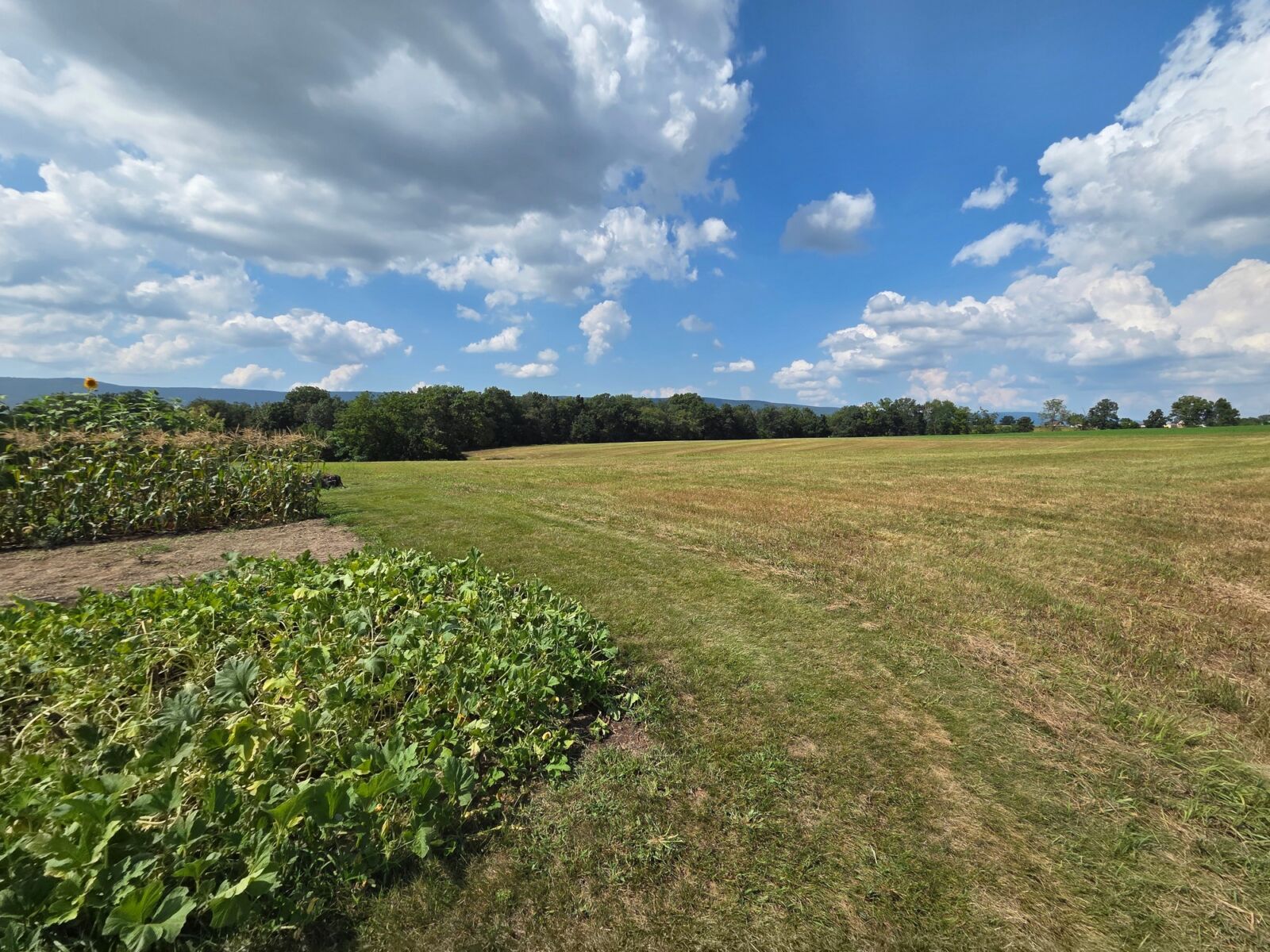 SOLD $532,000 / ABSOLUTE REAL ESTATE AUCTION - 13 ACRES! - NEWBURG, PA / THURS. OCTOBER 30, 2025 @ 5:30 PM - Image 64