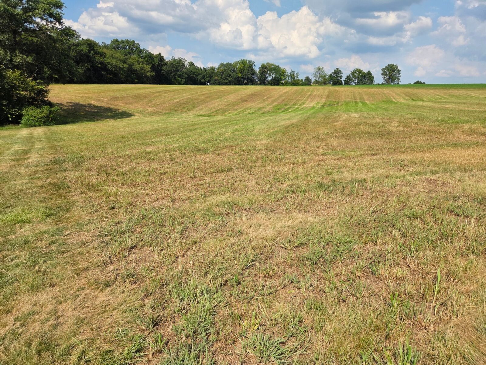 SOLD $532,000 / ABSOLUTE REAL ESTATE AUCTION - 13 ACRES! - NEWBURG, PA / THURS. OCTOBER 30, 2025 @ 5:30 PM - Image 50