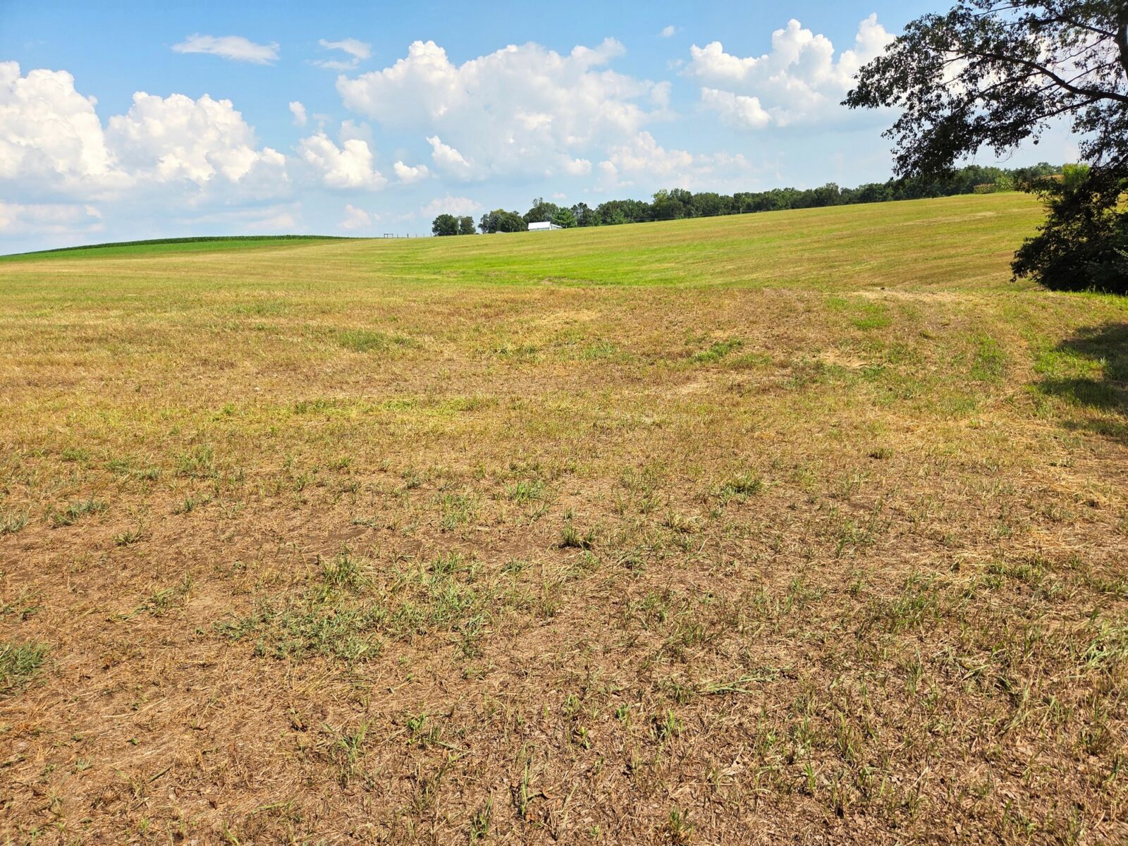 SOLD $532,000 / ABSOLUTE REAL ESTATE AUCTION - 13 ACRES! - NEWBURG, PA / THURS. OCTOBER 30, 2025 @ 5:30 PM - Image 47
