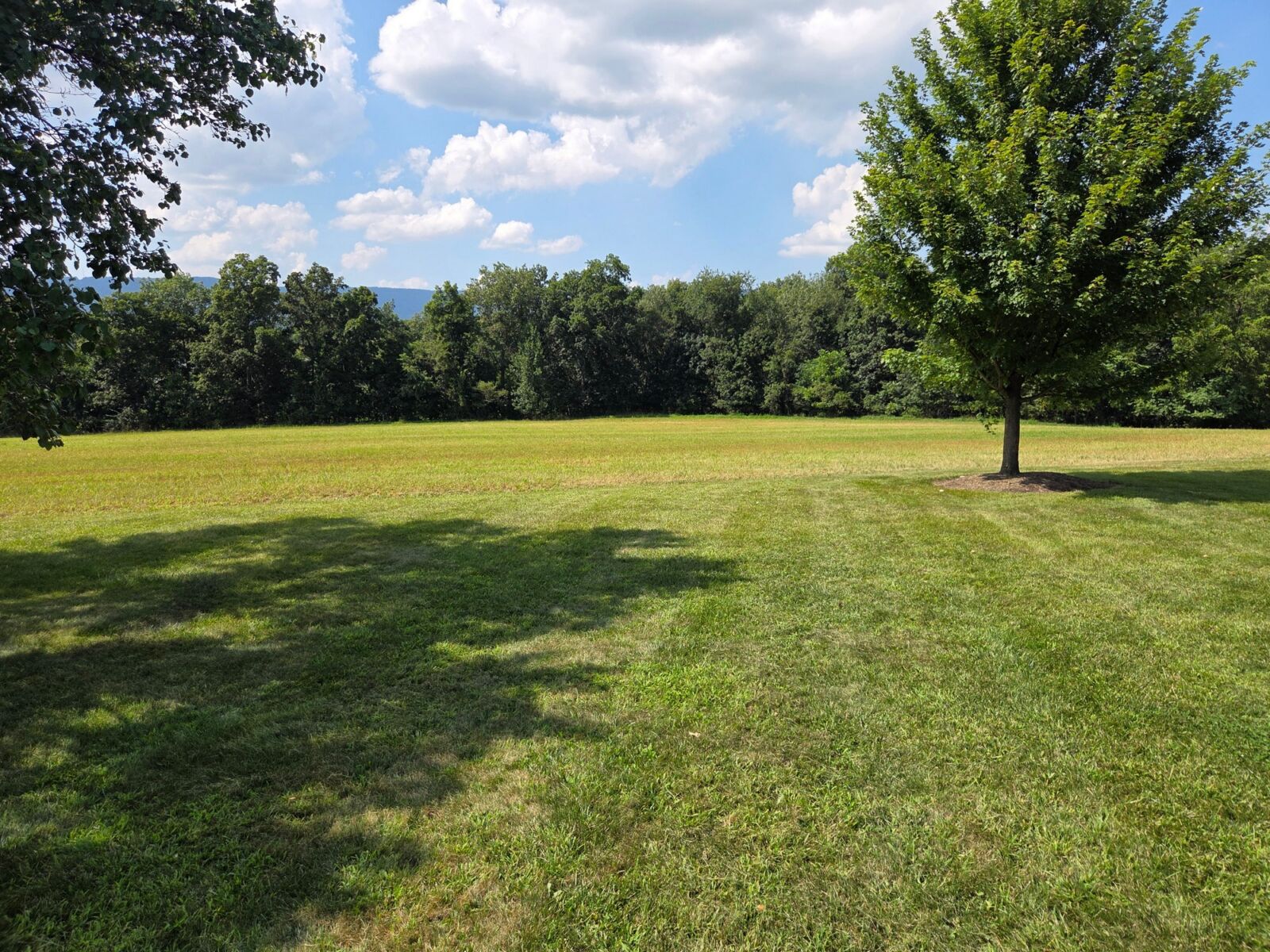 SOLD $532,000 / ABSOLUTE REAL ESTATE AUCTION - 13 ACRES! - NEWBURG, PA / THURS. OCTOBER 30, 2025 @ 5:30 PM - Image 83