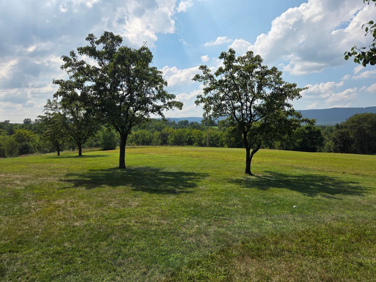 SOLD $532,000 / ABSOLUTE REAL ESTATE AUCTION - 13 ACRES! - NEWBURG, PA / THURS. OCTOBER 30, 2025 @ 5:30 PM - Image 81