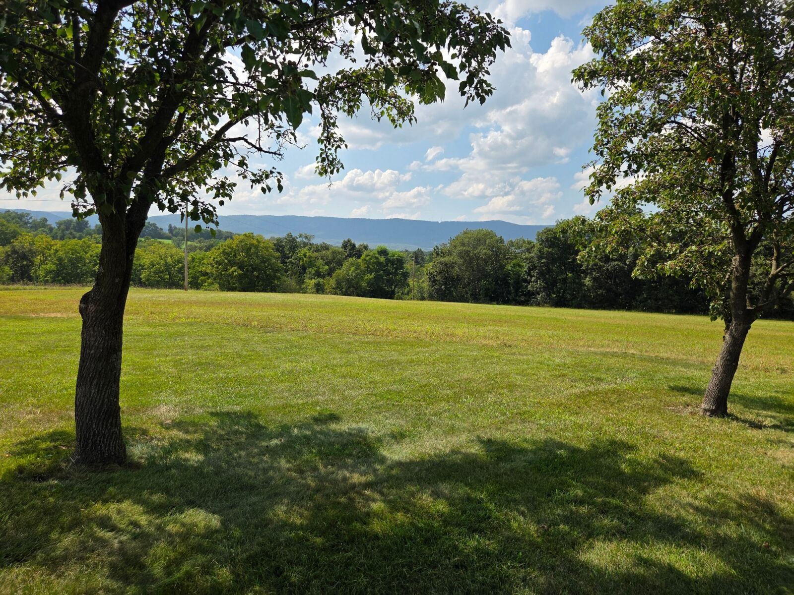 SOLD $532,000 / ABSOLUTE REAL ESTATE AUCTION - 13 ACRES! - NEWBURG, PA / THURS. OCTOBER 30, 2025 @ 5:30 PM - Image 80