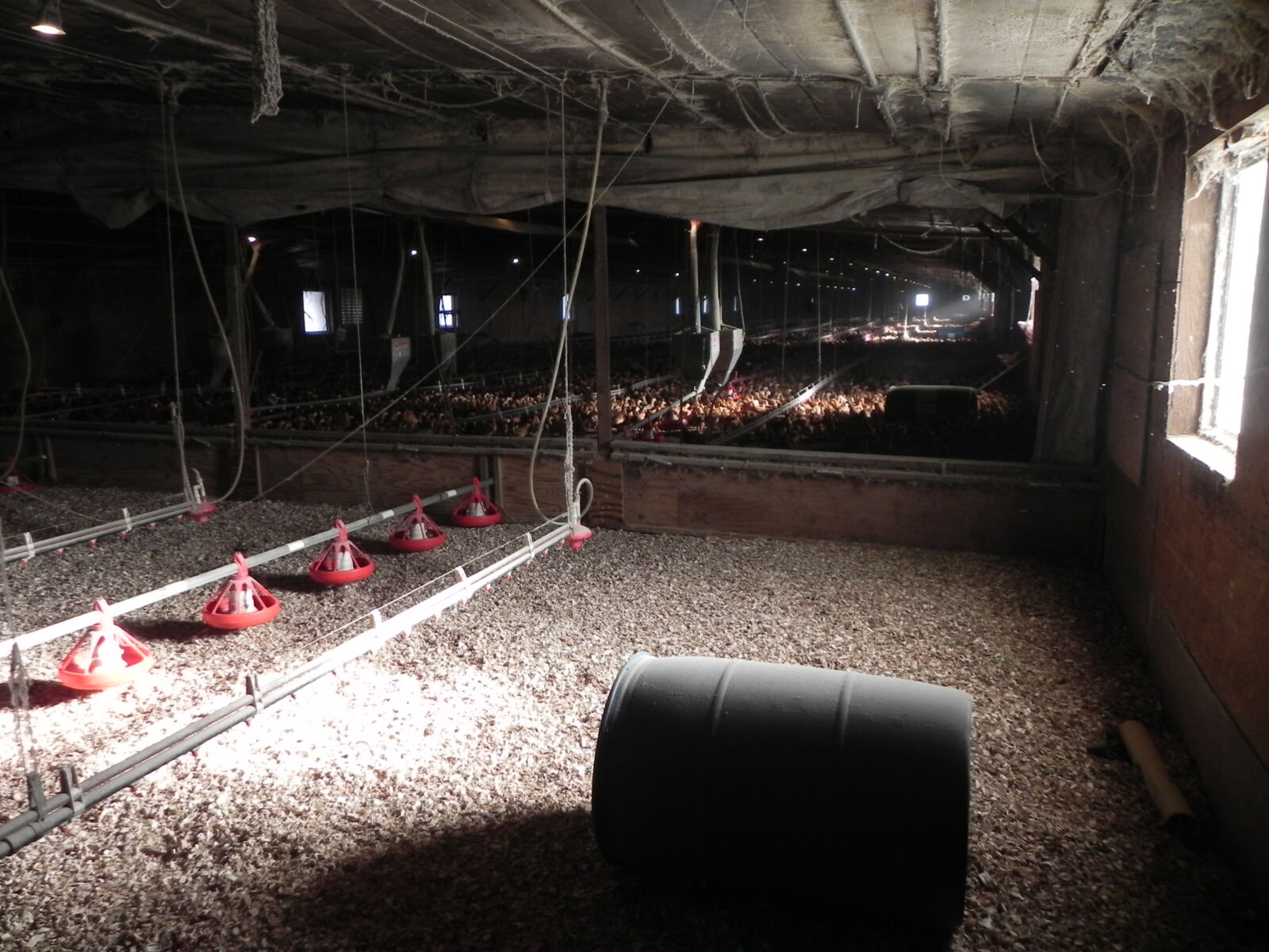 SOLD $960,000!! POULTRY FARM AUCTION ON 25 ACRES - NEWBURG, PA / TUE. JANUARY 27, 2026 @ 1:00 PM - Image 14