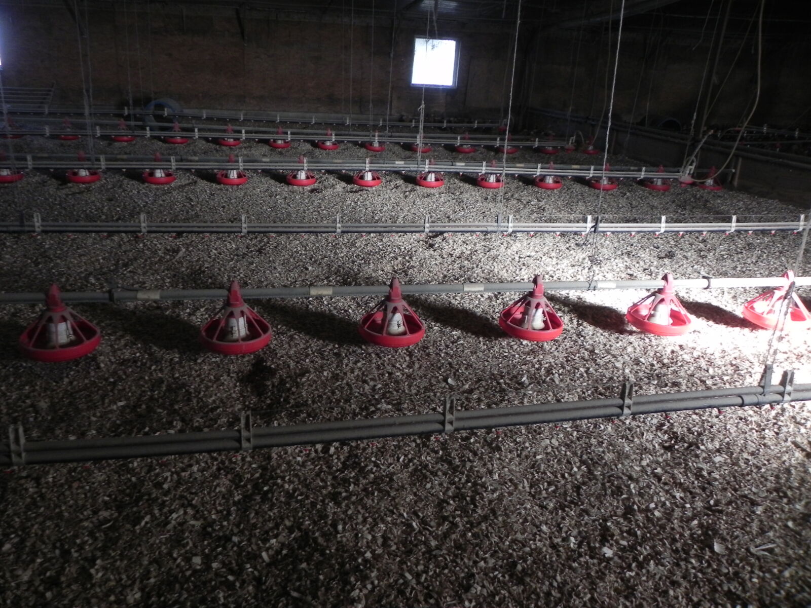 SOLD $960,000!! POULTRY FARM AUCTION ON 25 ACRES - NEWBURG, PA / TUE. JANUARY 27, 2026 @ 1:00 PM - Image 13