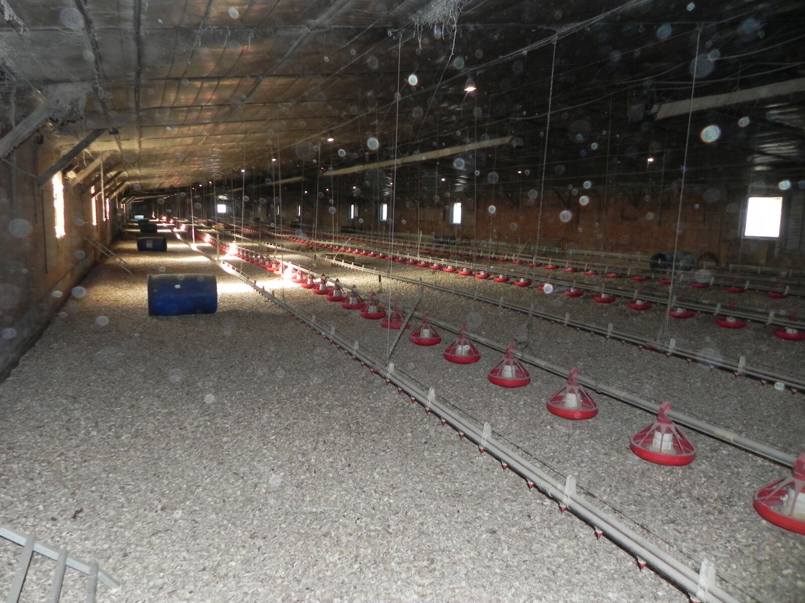 SOLD $960,000!! POULTRY FARM AUCTION ON 25 ACRES - NEWBURG, PA / TUE. JANUARY 27, 2026 @ 1:00 PM - Image 12