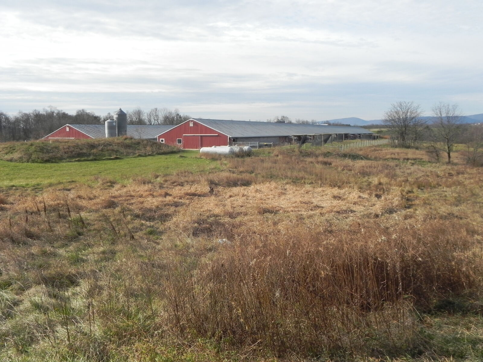 SOLD $960,000!! POULTRY FARM AUCTION ON 25 ACRES - NEWBURG, PA / TUE. JANUARY 27, 2026 @ 1:00 PM - Image 6