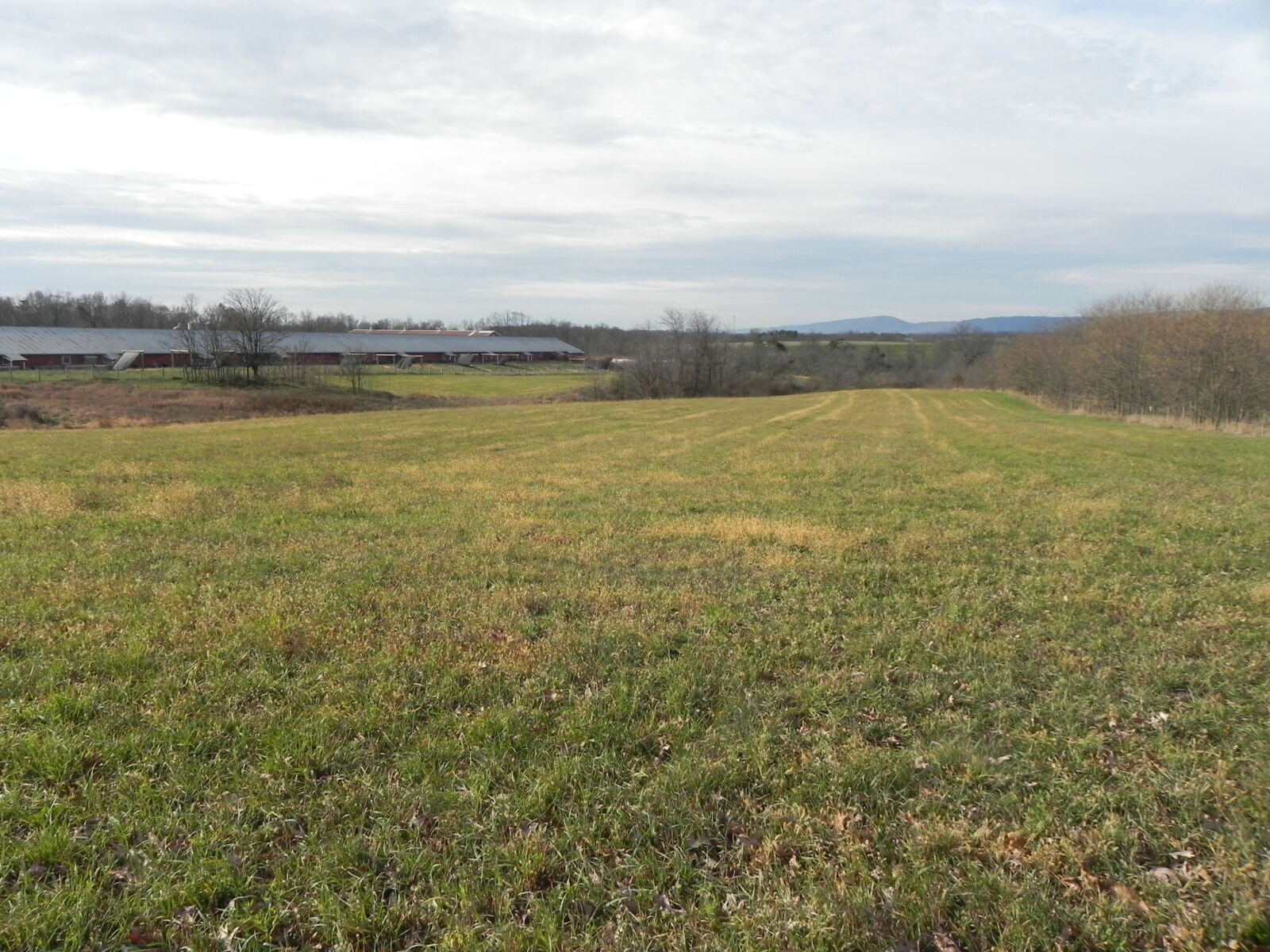 SOLD $960,000!! POULTRY FARM AUCTION ON 25 ACRES - NEWBURG, PA / TUE. JANUARY 27, 2026 @ 1:00 PM - Image 3