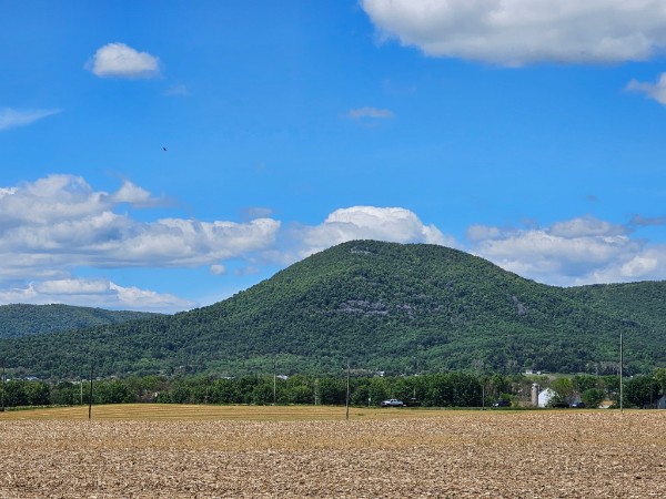 SOLD $1,525,000! / 2 PARCEL REAL ESTATE AUCTION - 49 ACRES - MERCERSBURG, PA / TUE. JULY 14, 2026 @ 6:00 PM - Image 114