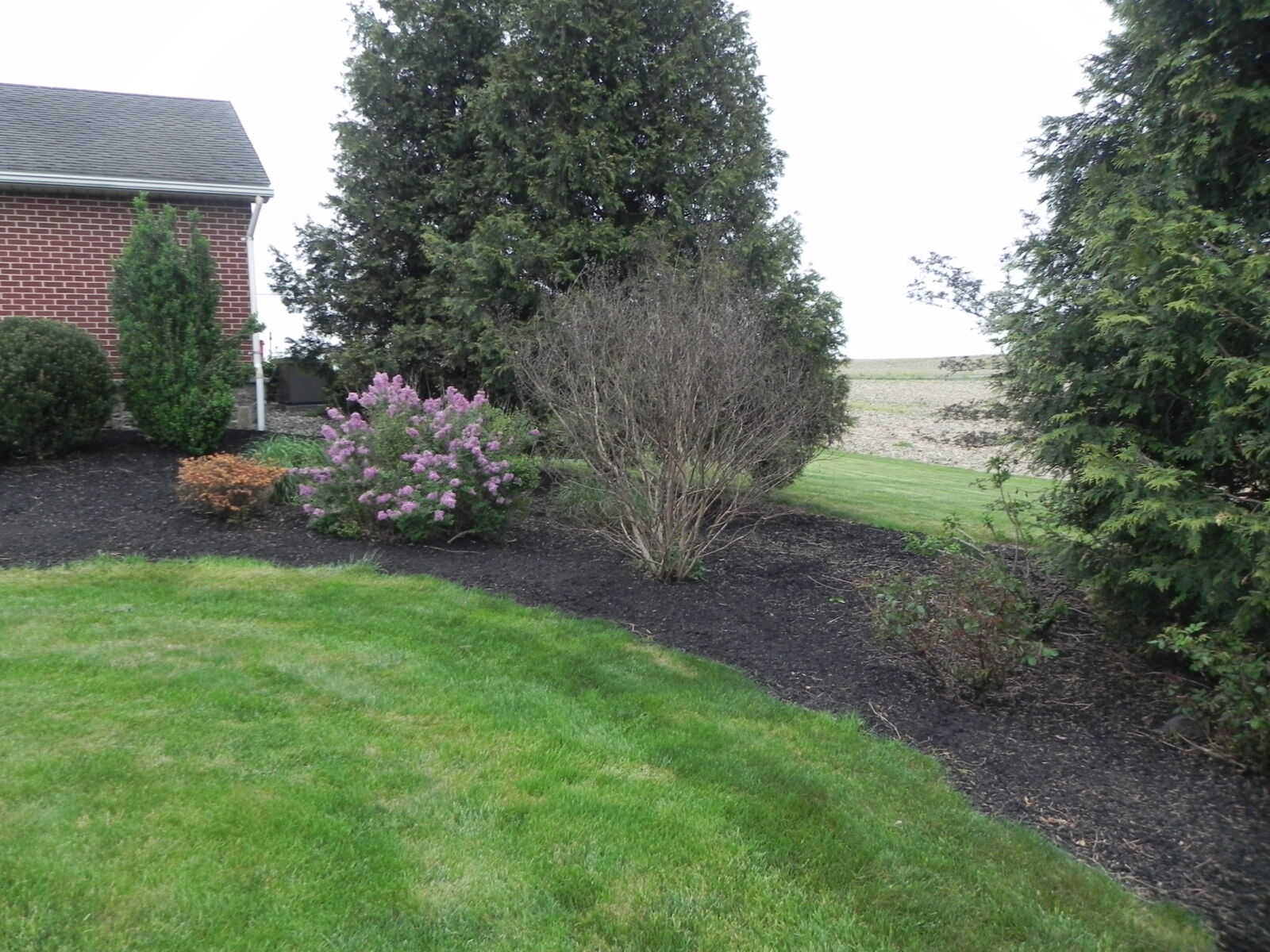 SOLD $1,525,000! / 2 PARCEL REAL ESTATE AUCTION - 49 ACRES - MERCERSBURG, PA / TUE. JULY 14, 2026 @ 6:00 PM - Image 98
