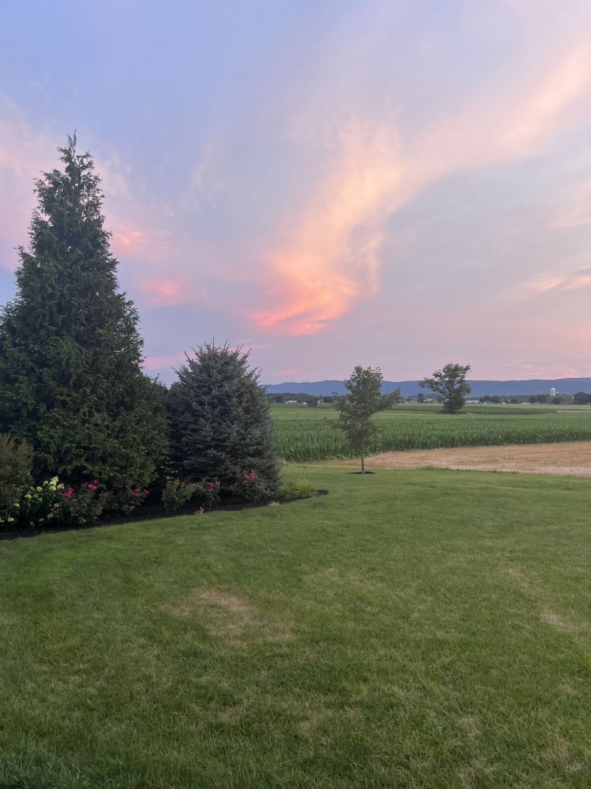 SOLD $1,525,000! / 2 PARCEL REAL ESTATE AUCTION - 49 ACRES - MERCERSBURG, PA / TUE. JULY 14, 2026 @ 6:00 PM - Image 14