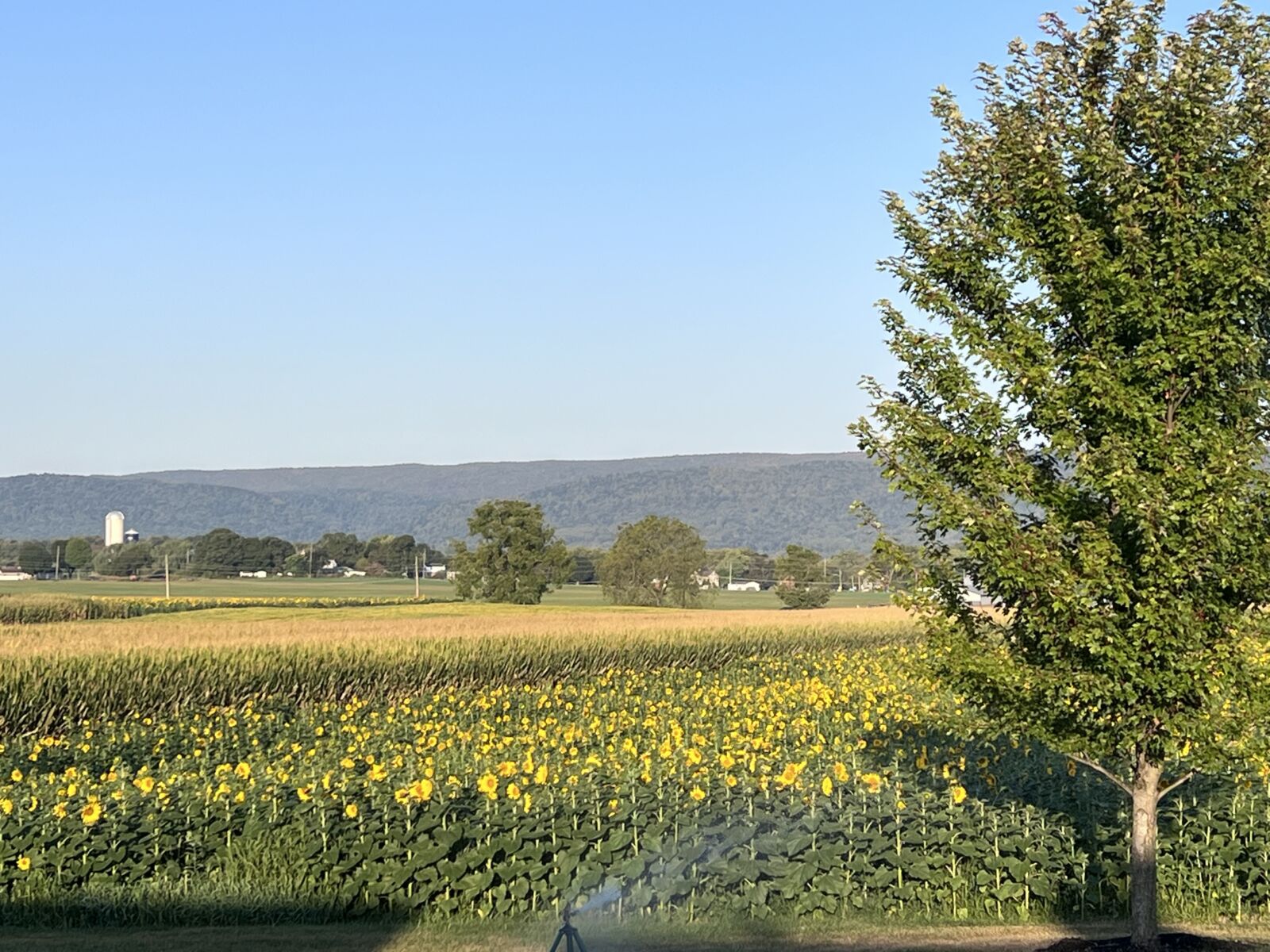 SOLD $1,525,000! / 2 PARCEL REAL ESTATE AUCTION - 49 ACRES - MERCERSBURG, PA / TUE. JULY 14, 2026 @ 6:00 PM - Image 13