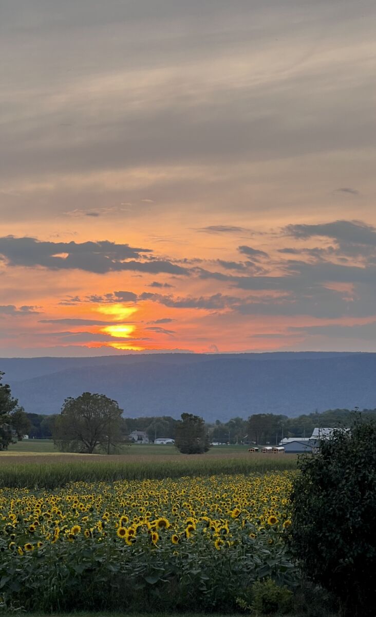 SOLD $1,525,000! / 2 PARCEL REAL ESTATE AUCTION - 49 ACRES - MERCERSBURG, PA / TUE. JULY 14, 2026 @ 6:00 PM - Image 12
