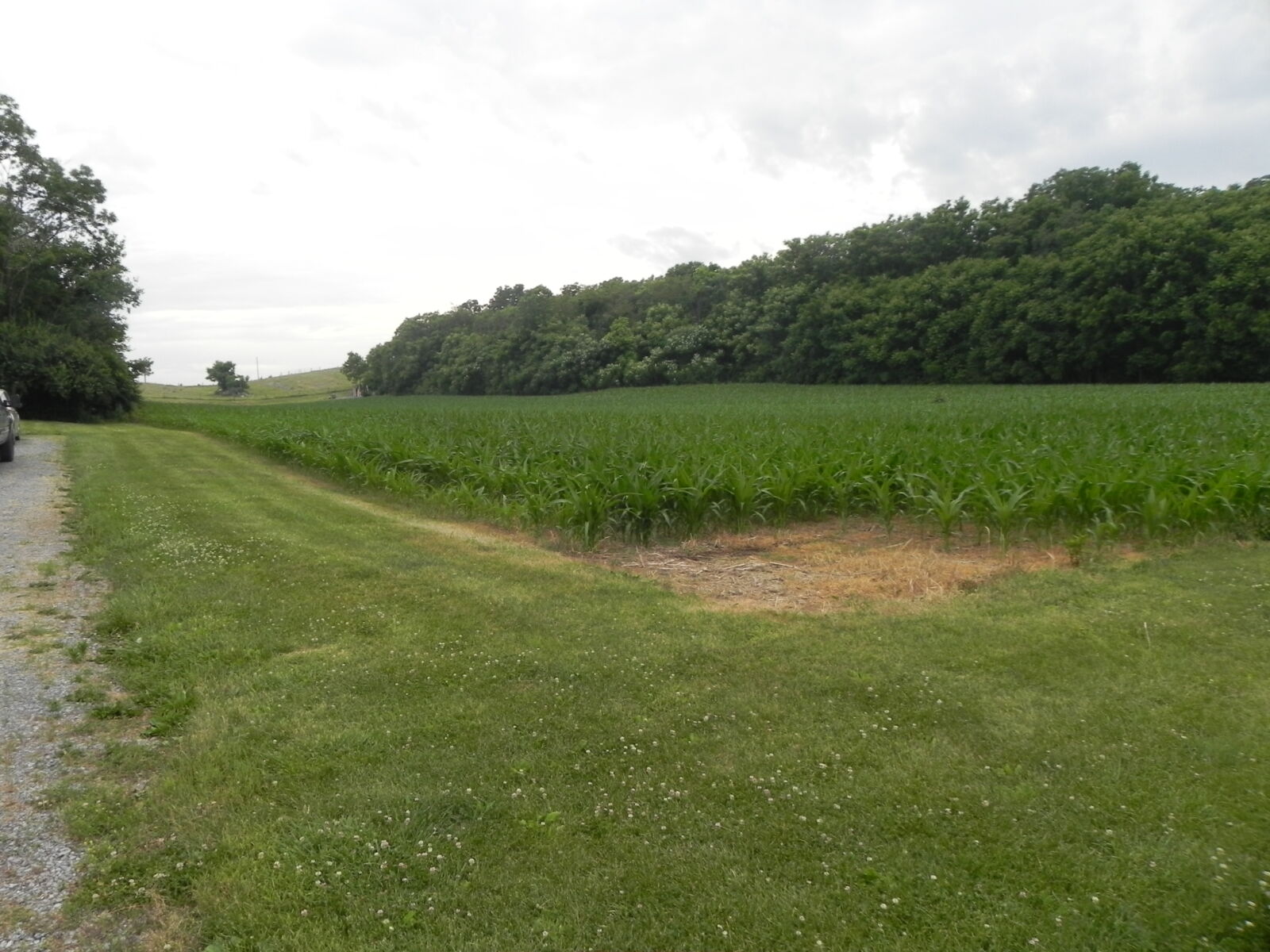 SOLD $870,000! 20 ACRE REAL ESTATE - SHIPPENSBURG, PA. / TUE. SEPT. 1, 2026 @ 5:00 PM - Image 43