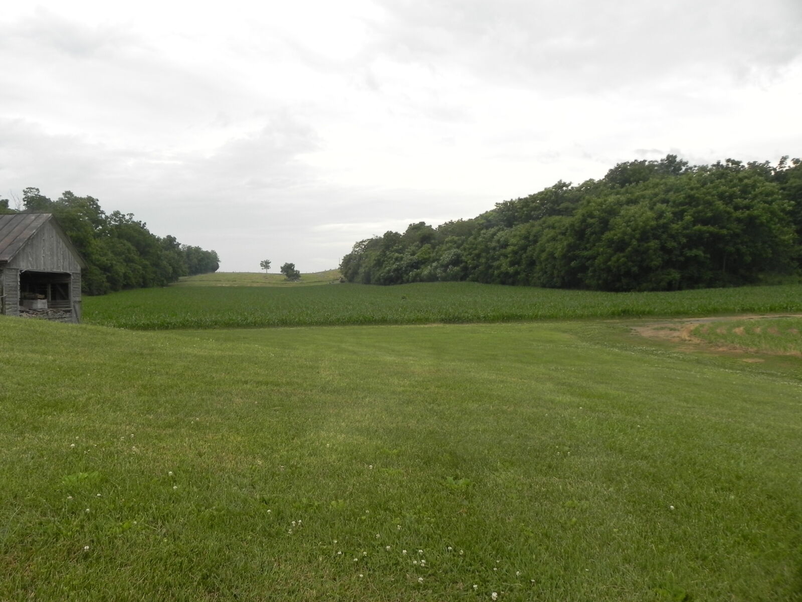 SOLD $870,000! 20 ACRE REAL ESTATE - SHIPPENSBURG, PA. / TUE. SEPT. 1, 2026 @ 5:00 PM - Image 40